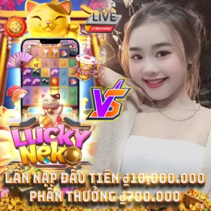 Entertainment